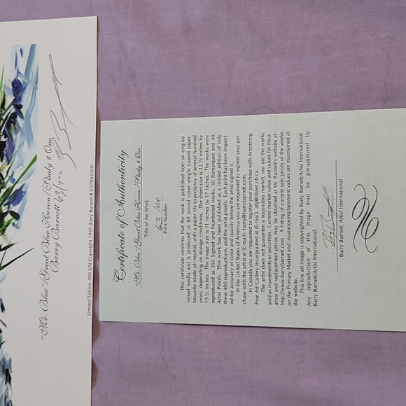 Great White Heron Limited Edition Print - Picture 2 of 2